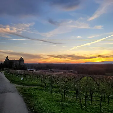 Alte Schmiede Apartmán *