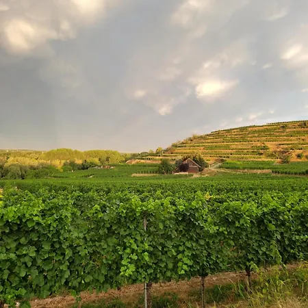 Appartement Alte Schmiede *