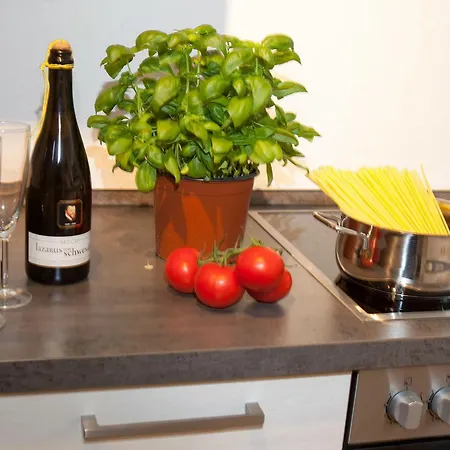 Apartament Alte Schmiede Vogtsburg im Kaiserstuhl