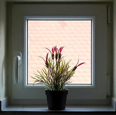 Appartement Alte Schmiede