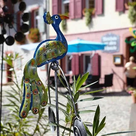 Alte Schmiede Apartament *