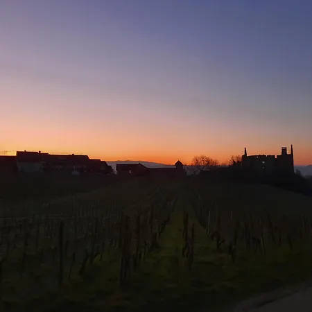 Appartement Alte Schmiede Vogtsburg im Kaiserstuhl